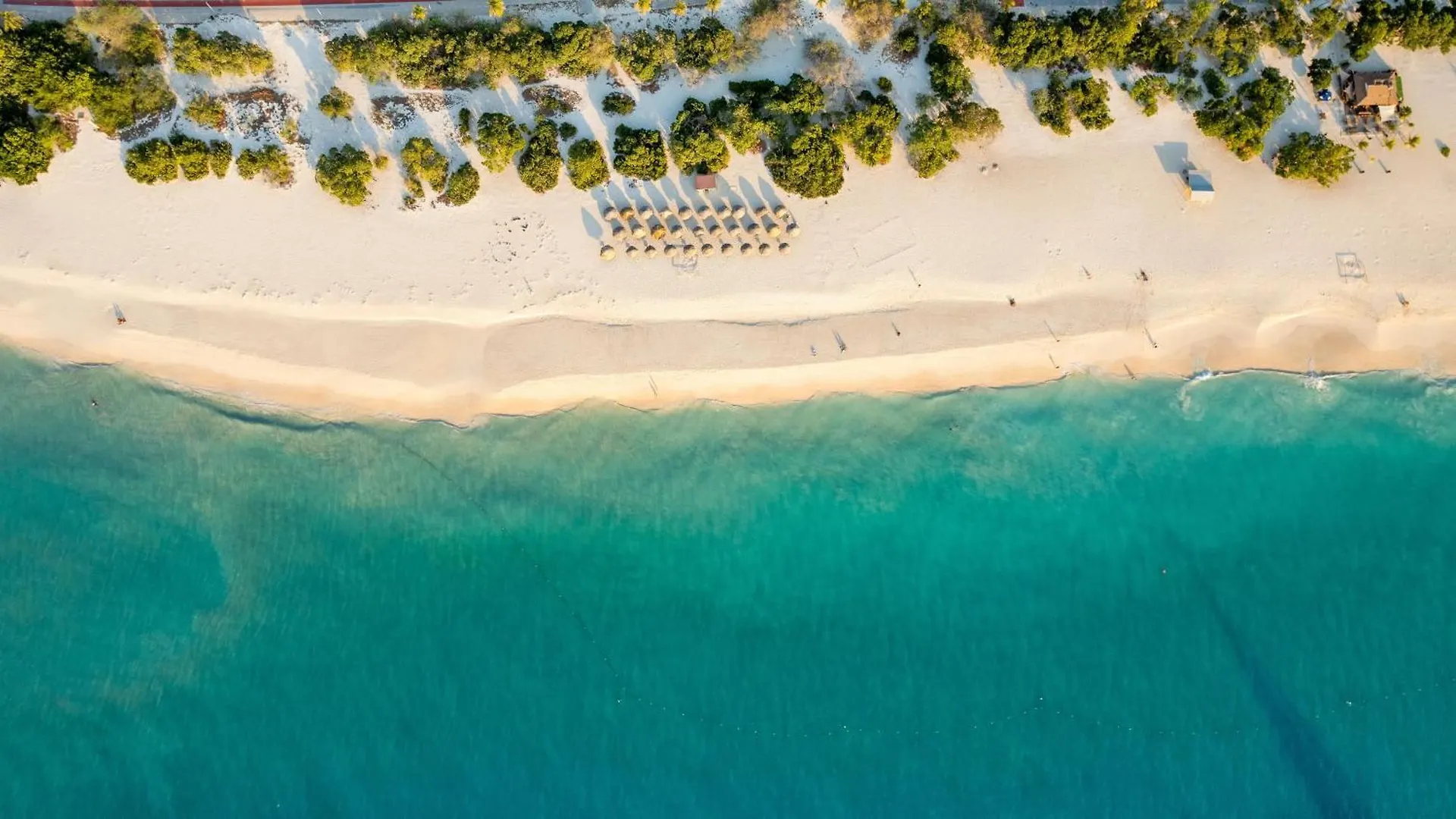 Apartment O Condominium Beachfront Residences, By Bocobay Aruba Palm Beach